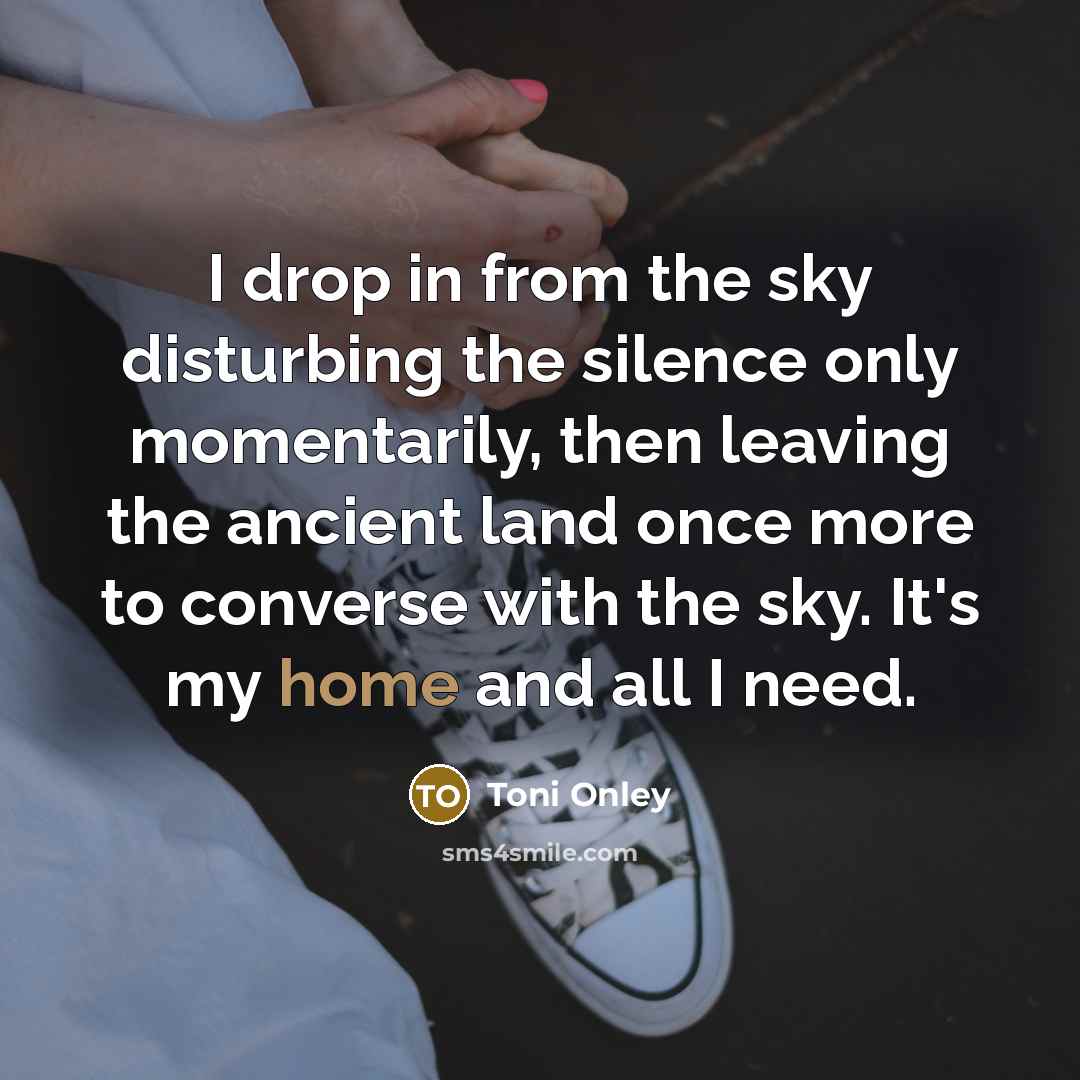 “I drop in from the sky disturbing the silence only…” quote by Toni Onley