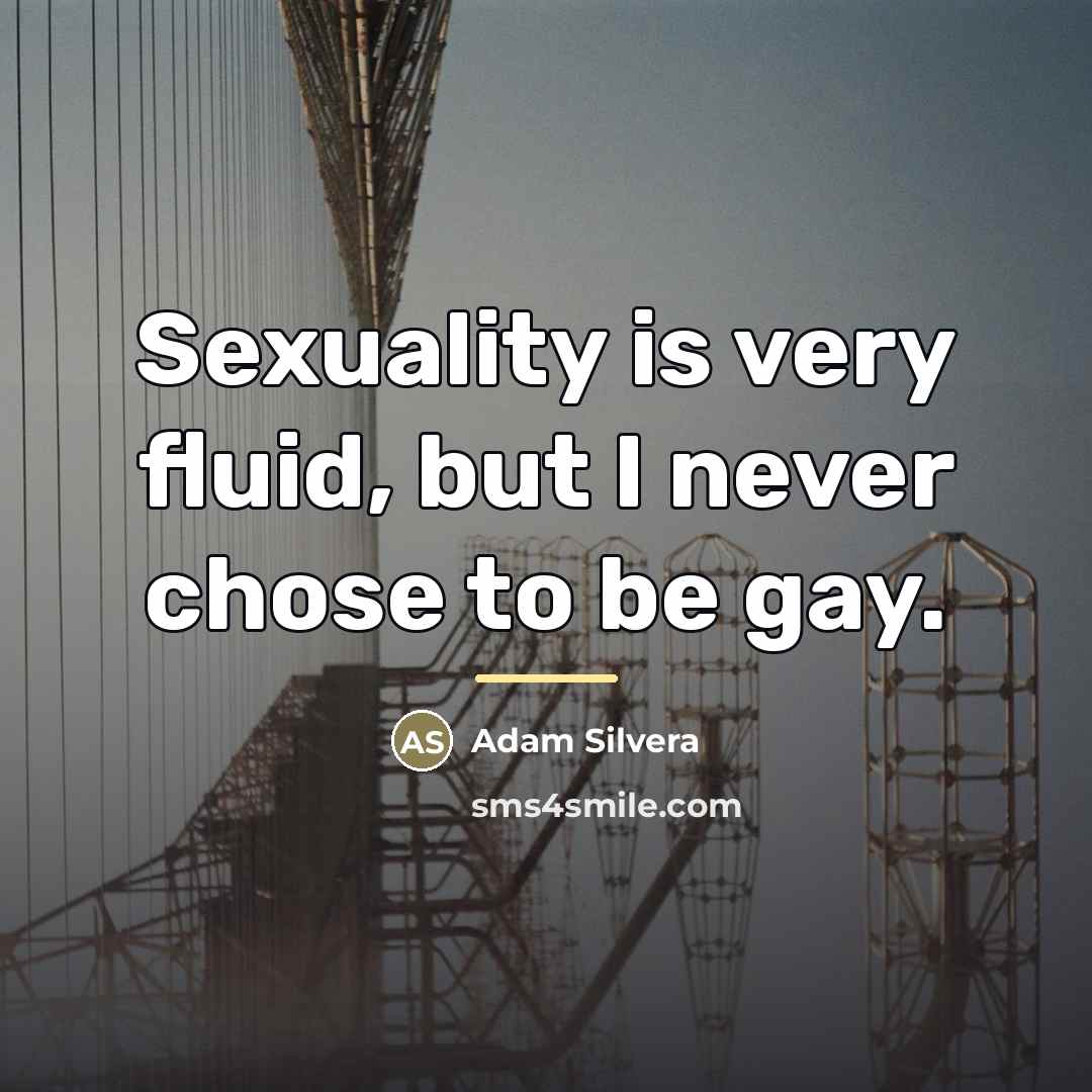 “Sexuality is very fluid, but I never chose to be…” quote by Adam Silvera