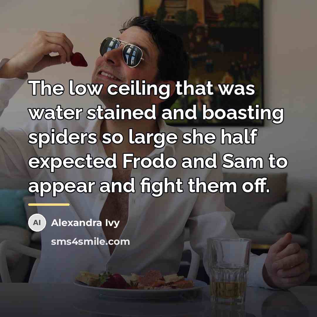 “The low ceiling that was water stained and boasting spiders…” quote by Alexandra Ivy