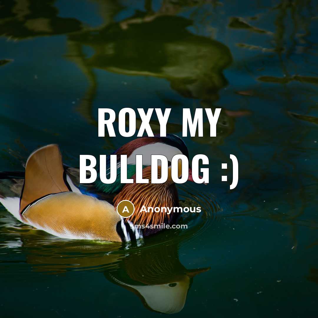 “Roxy my bulldog :)” quote by Anonymous