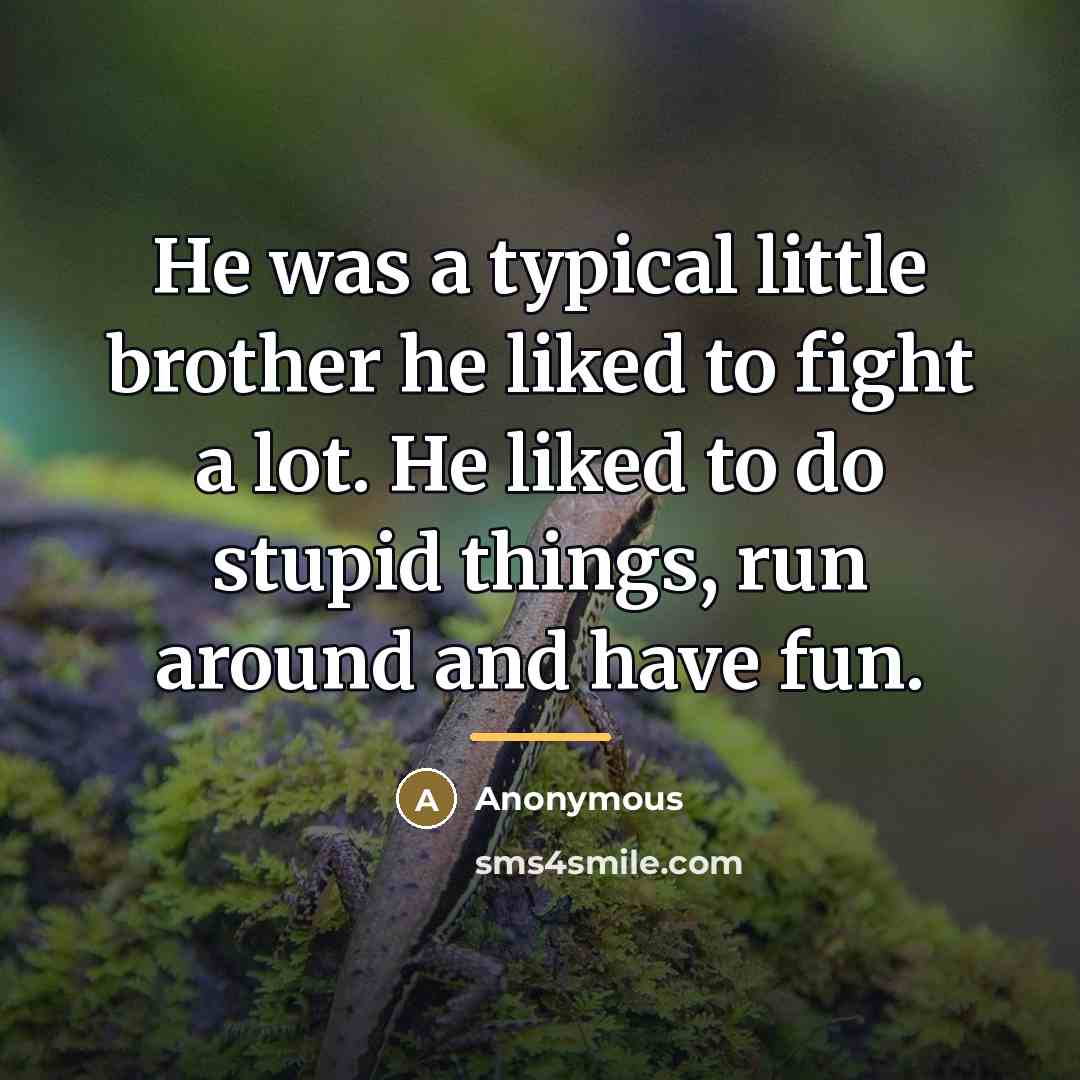 “He was a typical little brother he liked to fight…” quote by Anonymous