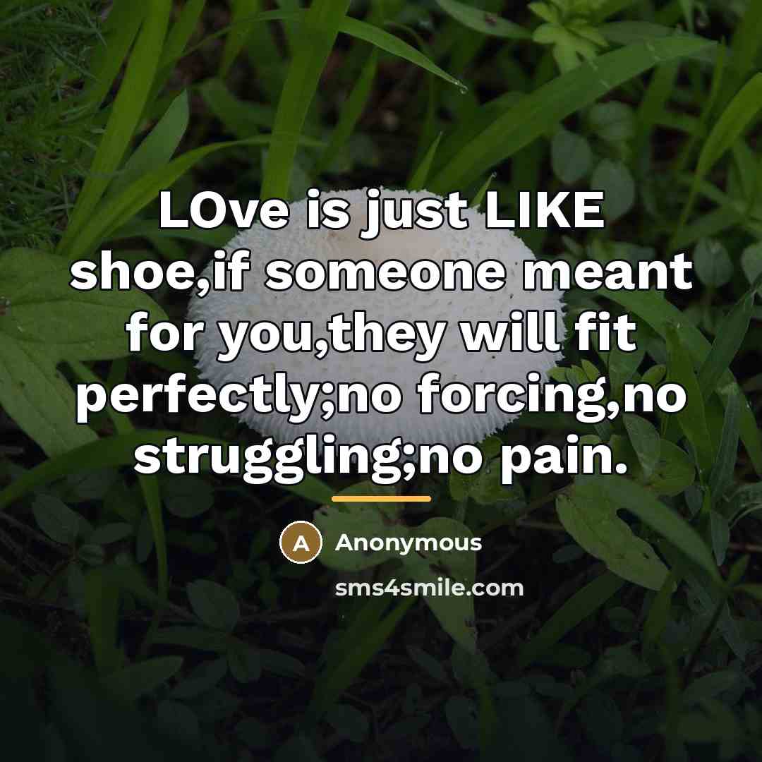 “LOve is just LIKE shoe,if someone meant for you,they will…” quote by Anonymous