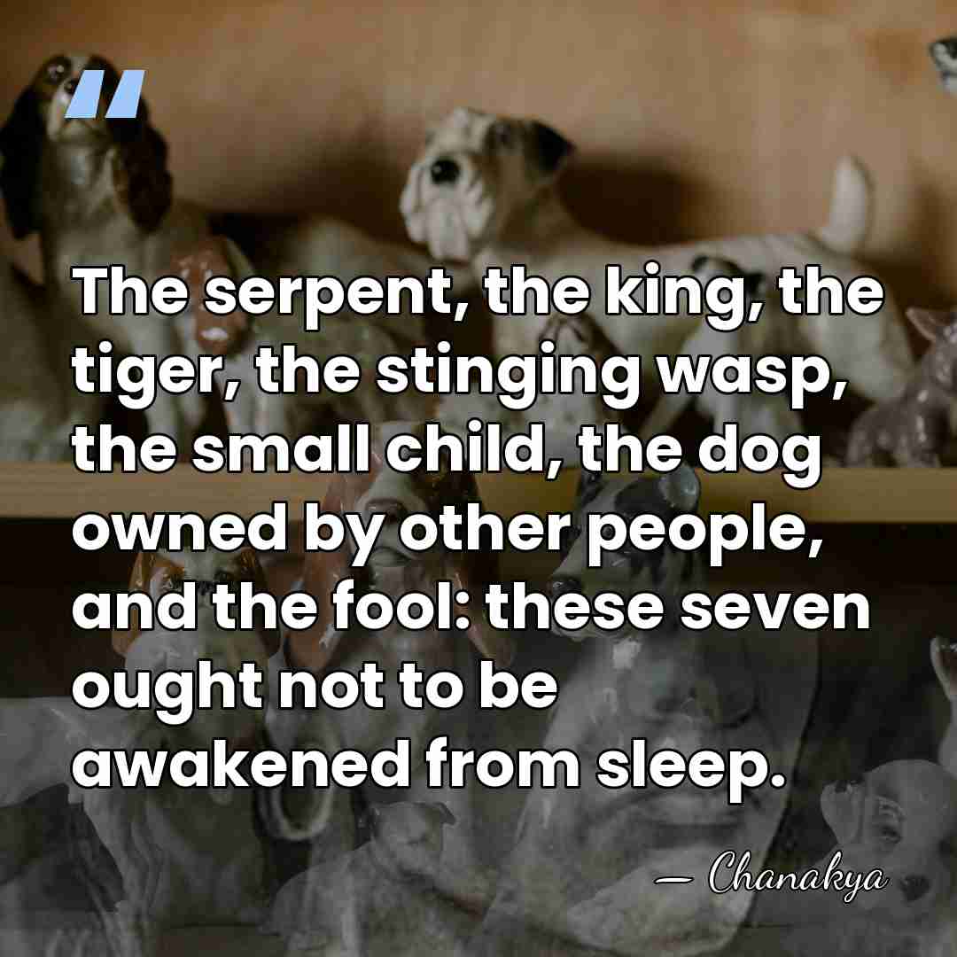 The serpent, the king, the tiger, the stinging wasp, the small child,&hellip; - Chanakya