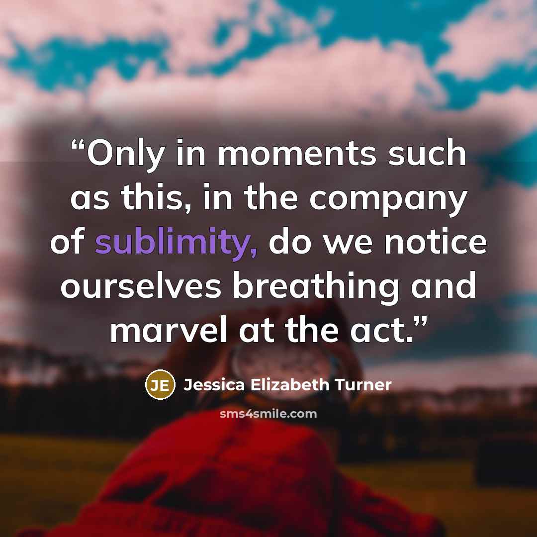 “Only in moments such as this, in the company of sublimity, do we notice ourselves breathing and marvel at the act.” quote by Jessica Elizabeth Turner