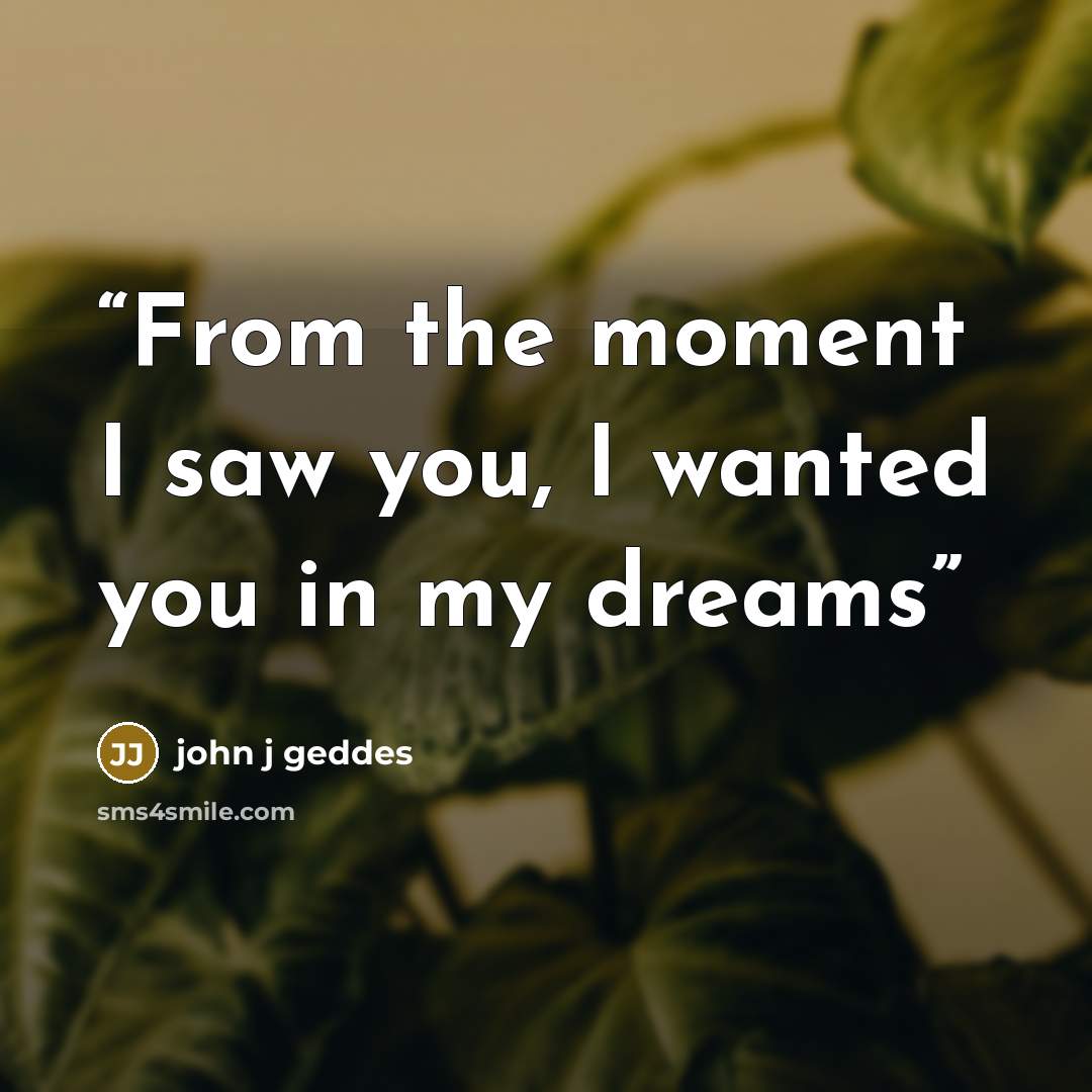 “From the moment I saw you, I wanted you in my dreams” quote by john j geddes