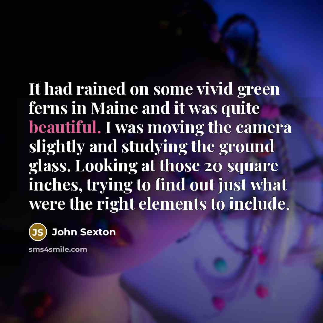 “It had rained on some vivid green ferns in Maine…” quote by John Sexton