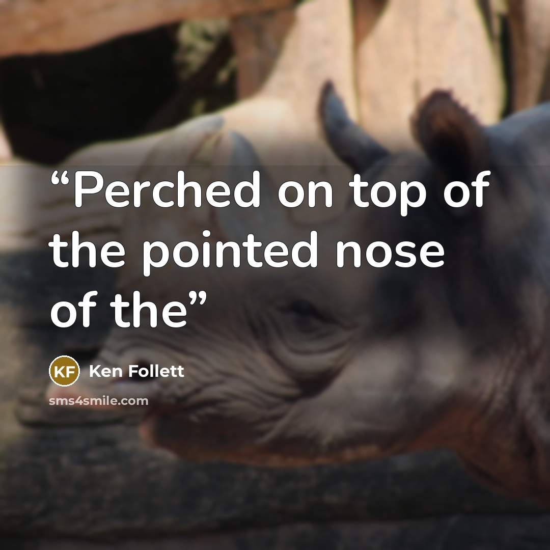 “Perched on top of the pointed nose of the” quote by Ken Follett