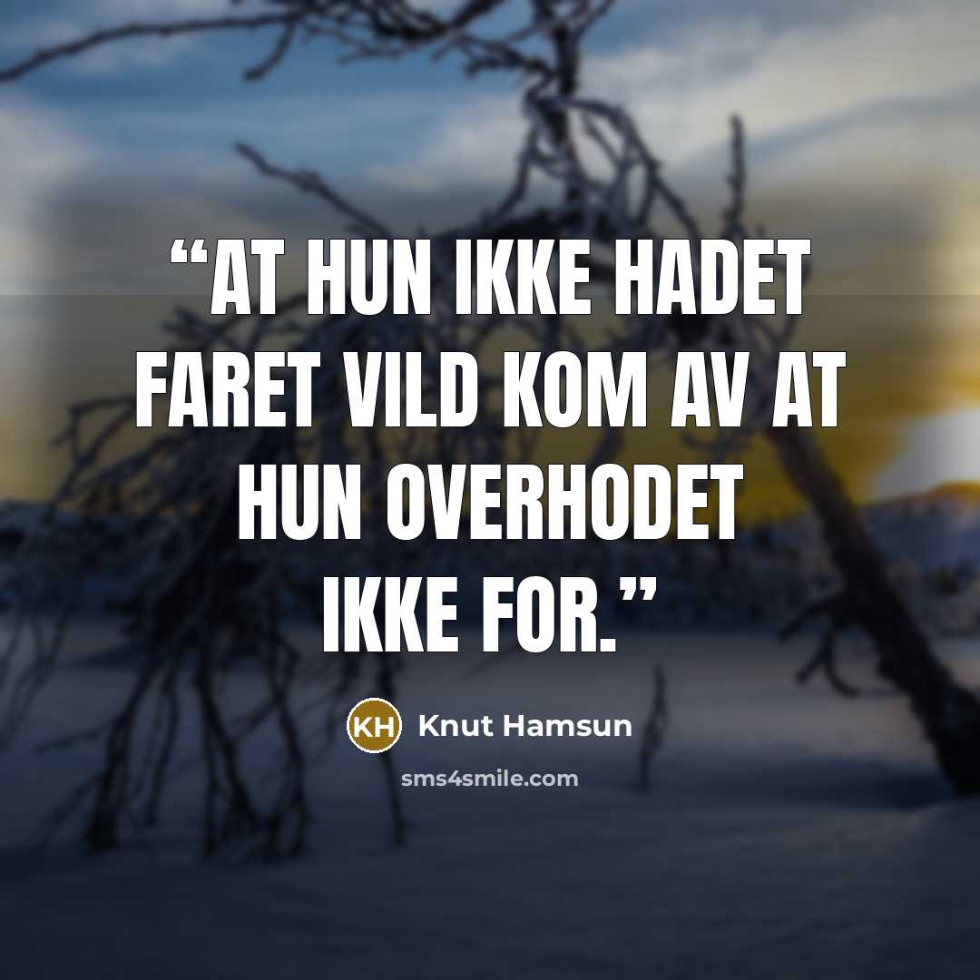 “At hun ikke hadet faret vild kom av at hun overhodet ikke for.” quote by Knut Hamsun