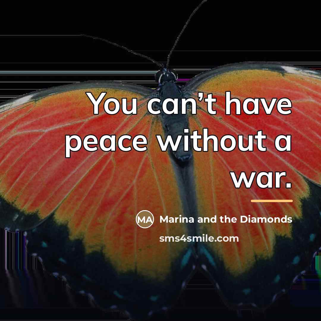 “You can’t have peace without a war.…” quote by Marina and the Diamonds