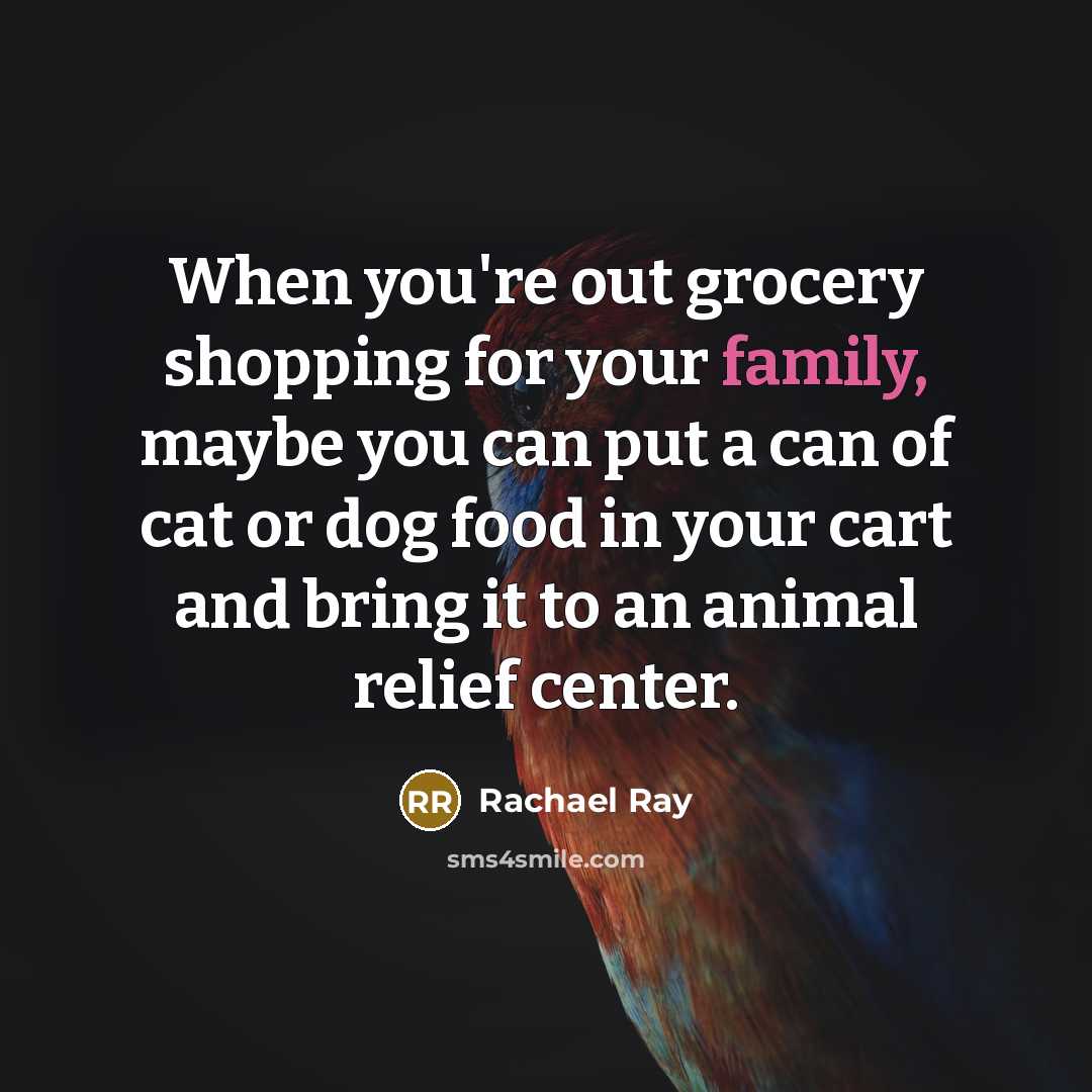 “When you're out grocery shopping for your family, maybe you…” quote by Rachael Ray