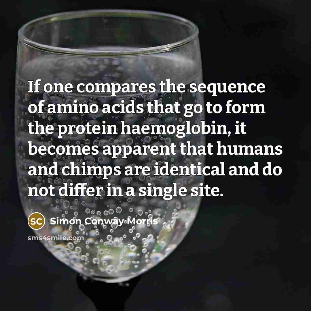 “If one compares the sequence of amino acids that go…” quote by Simon Conway Morris