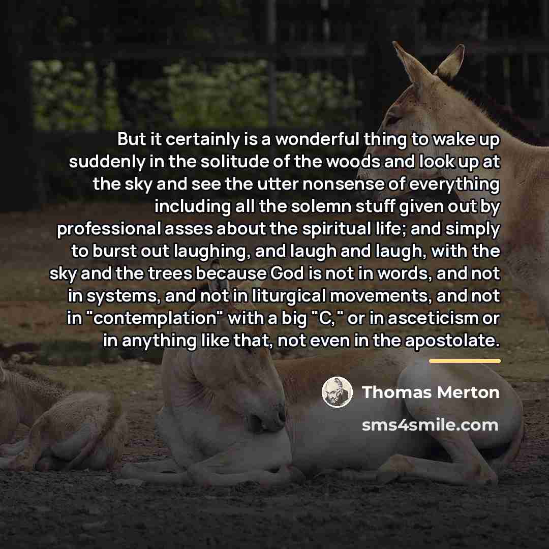 “But it certainly is a wonderful thing to wake up…” quote by Thomas Merton
