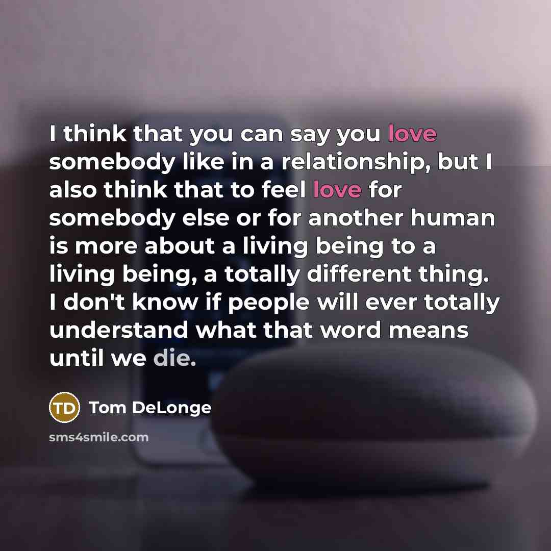 “I think that you can say you love somebody like…” quote by Tom DeLonge