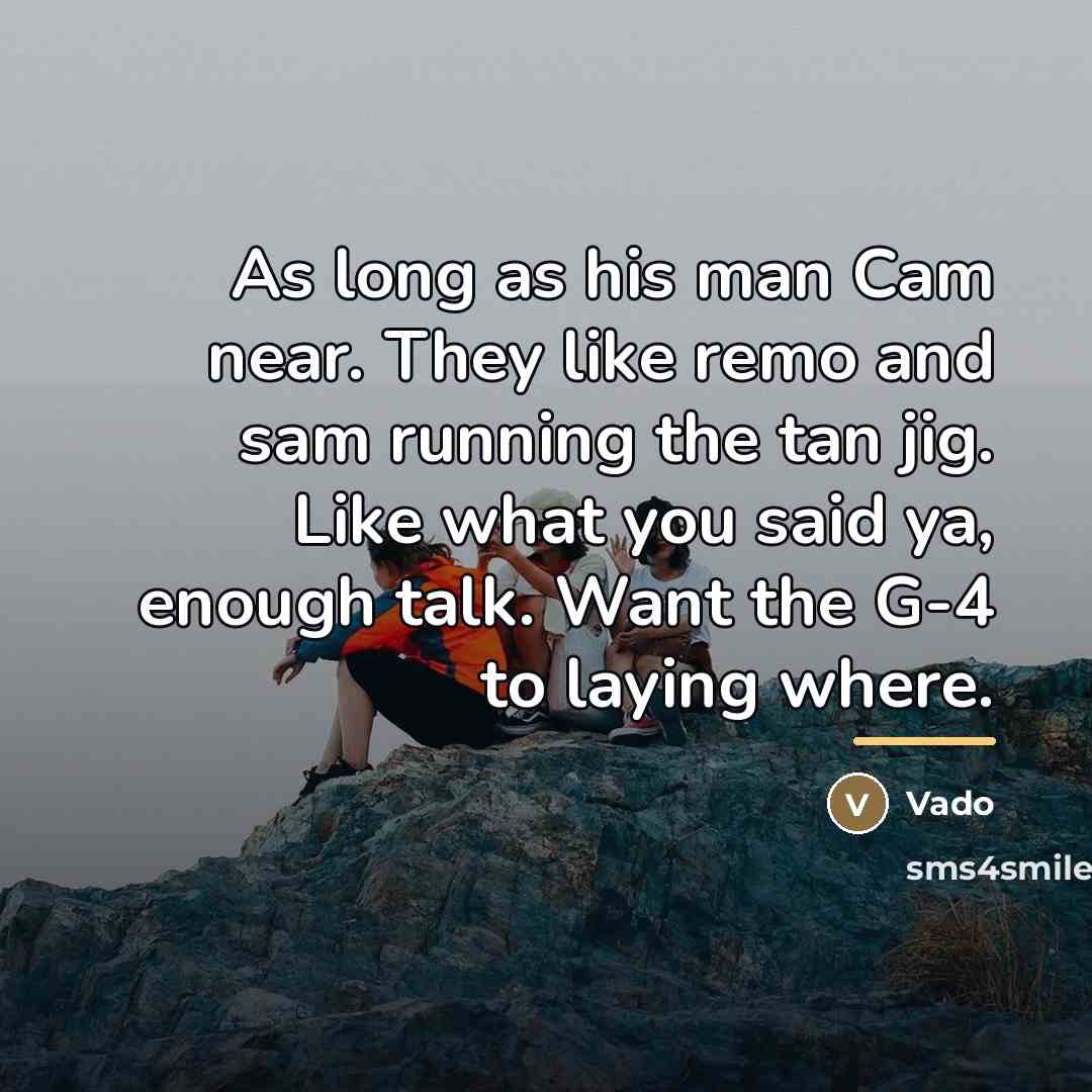 “As long as his man Cam near. They like remo…” quote by Vado
