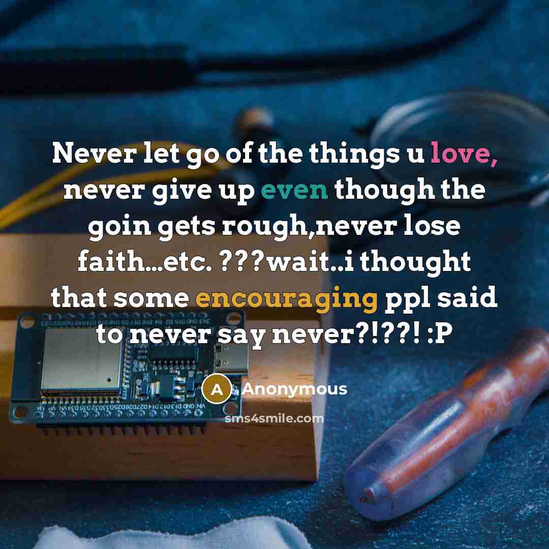 “Never let go of the things u love, never give up even though the goin gets rough,never lose faith…etc. ???wait..i thought that some encouraging ppl said to never say never?!??! :P” quote by Anonymous