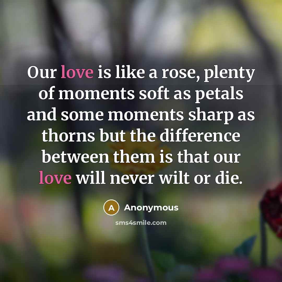 “Our love is like a rose, plenty of moments soft…” quote by Anonymous