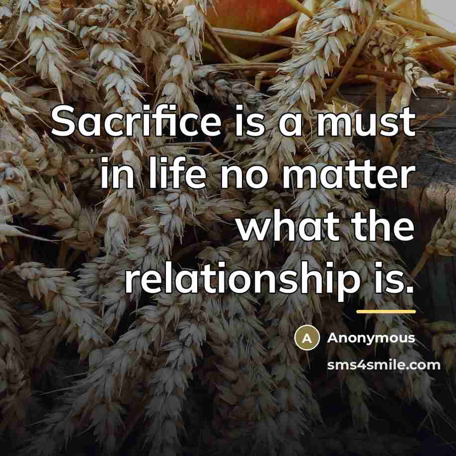 “Sacrifice is a must in life no matter what the…” quote by Anonymous