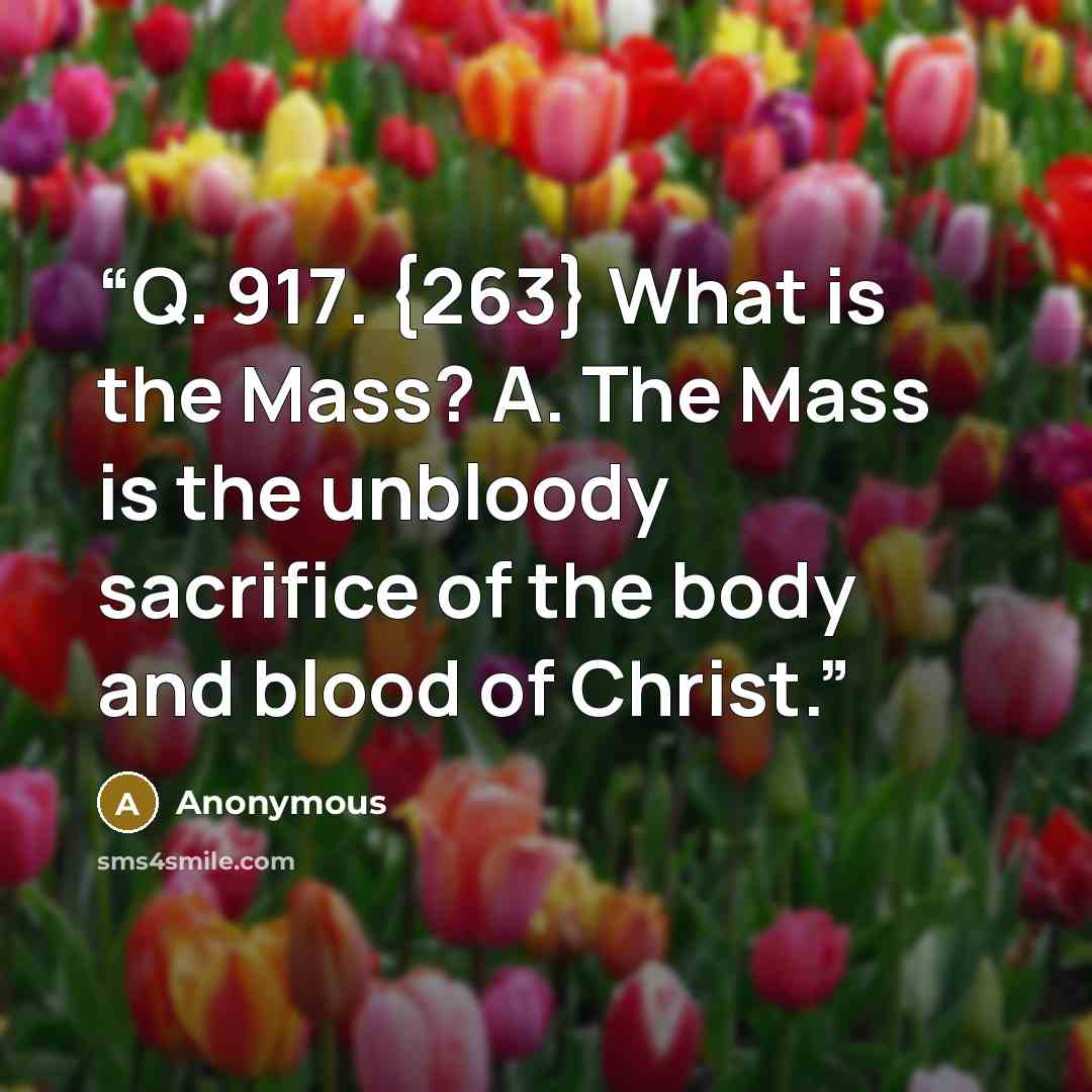“Q. 917. {263} What is the Mass? A. The Mass is the unbloody sacrifice of the body and blood of Christ.” quote by Anonymous