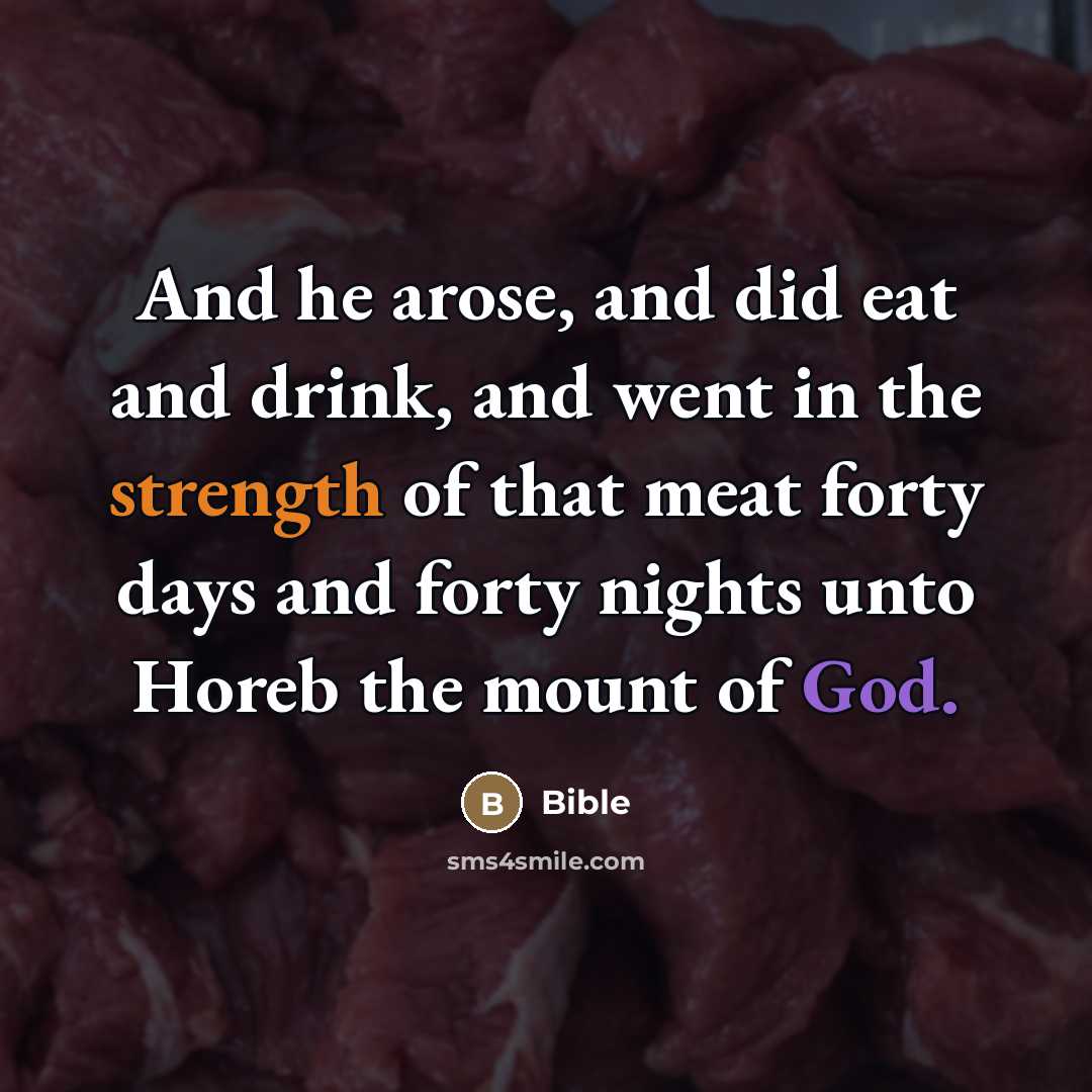 “And he arose, and did eat and drink, and went…” quote by Bible