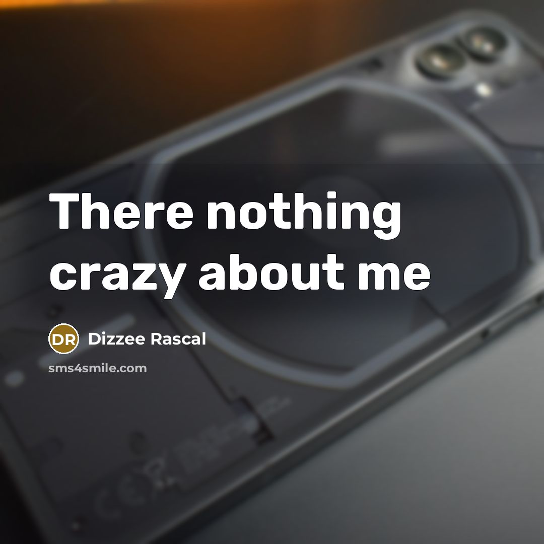 “There nothing crazy about me” quote by Dizzee Rascal