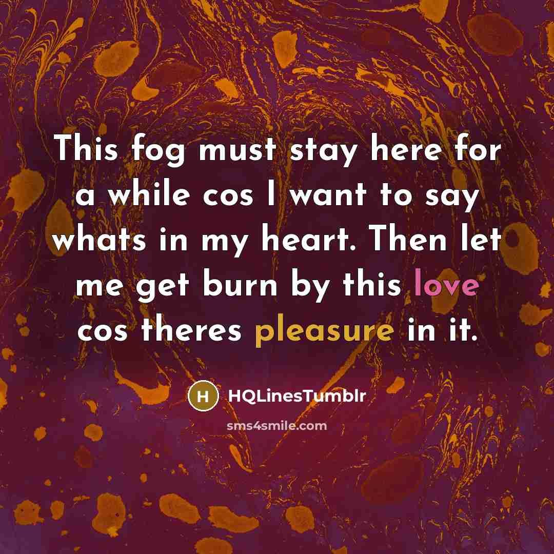 “This fog must stay here for a while cos I…” quote by HQLinesTumblr