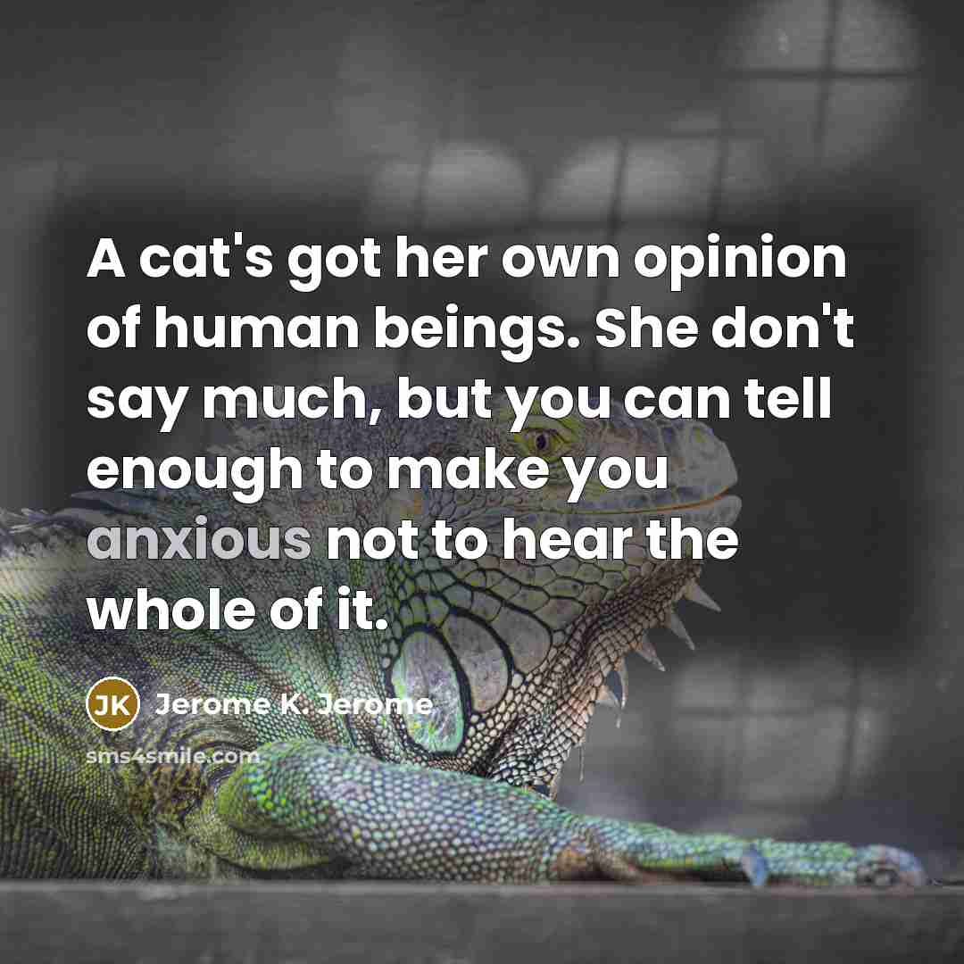 “A cat's got her own opinion of human beings. She…” quote by Jerome K. Jerome