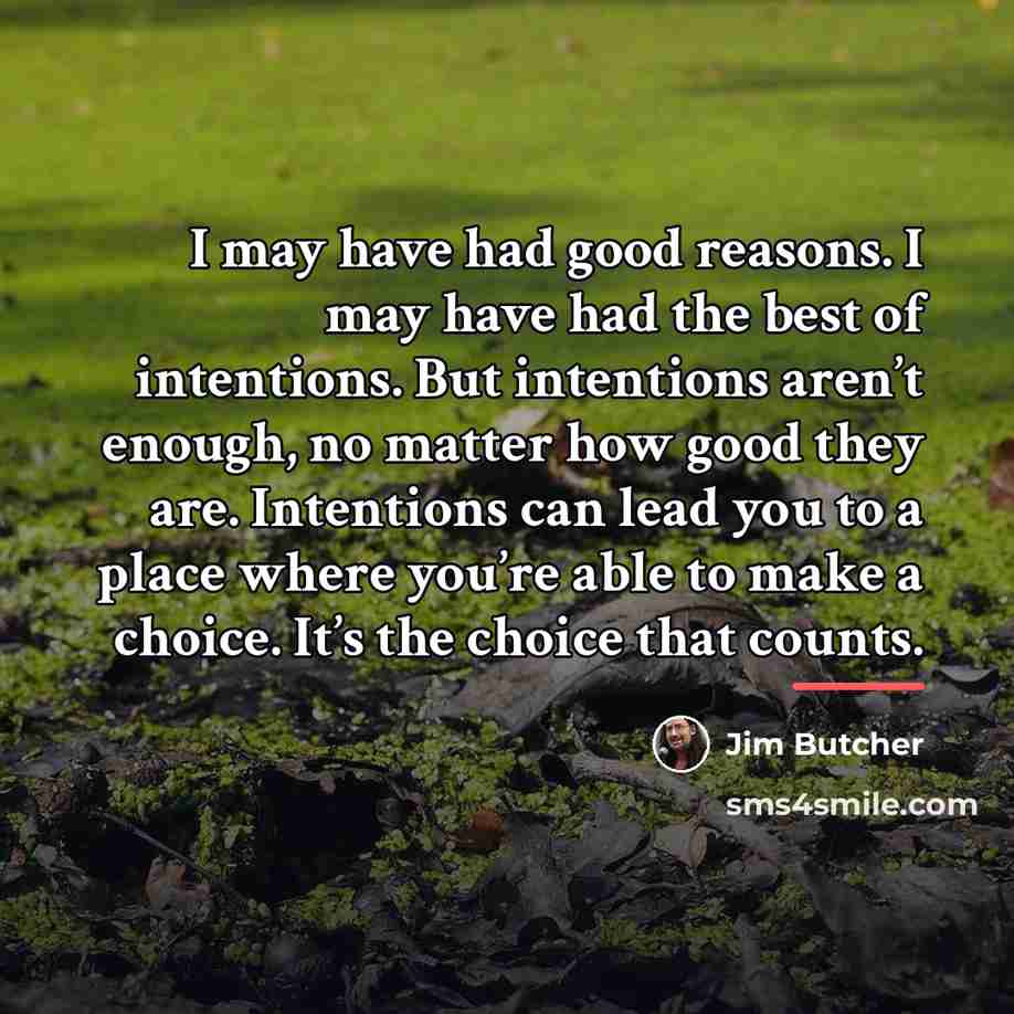 “I may have had good reasons. I may have had…” quote by Jim Butcher