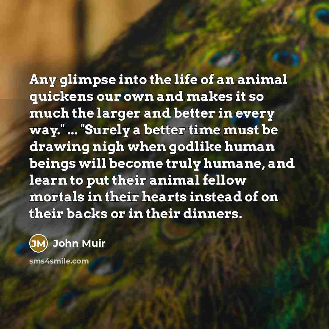 “Any glimpse into the life of an animal quickens our…” quote by John Muir