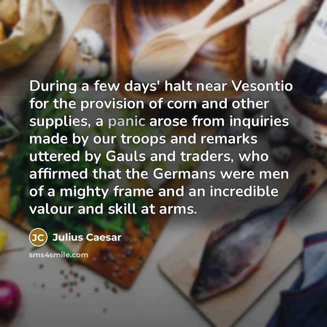 “During a few days' halt near Vesontio for the provision…” quote by Julius Caesar
