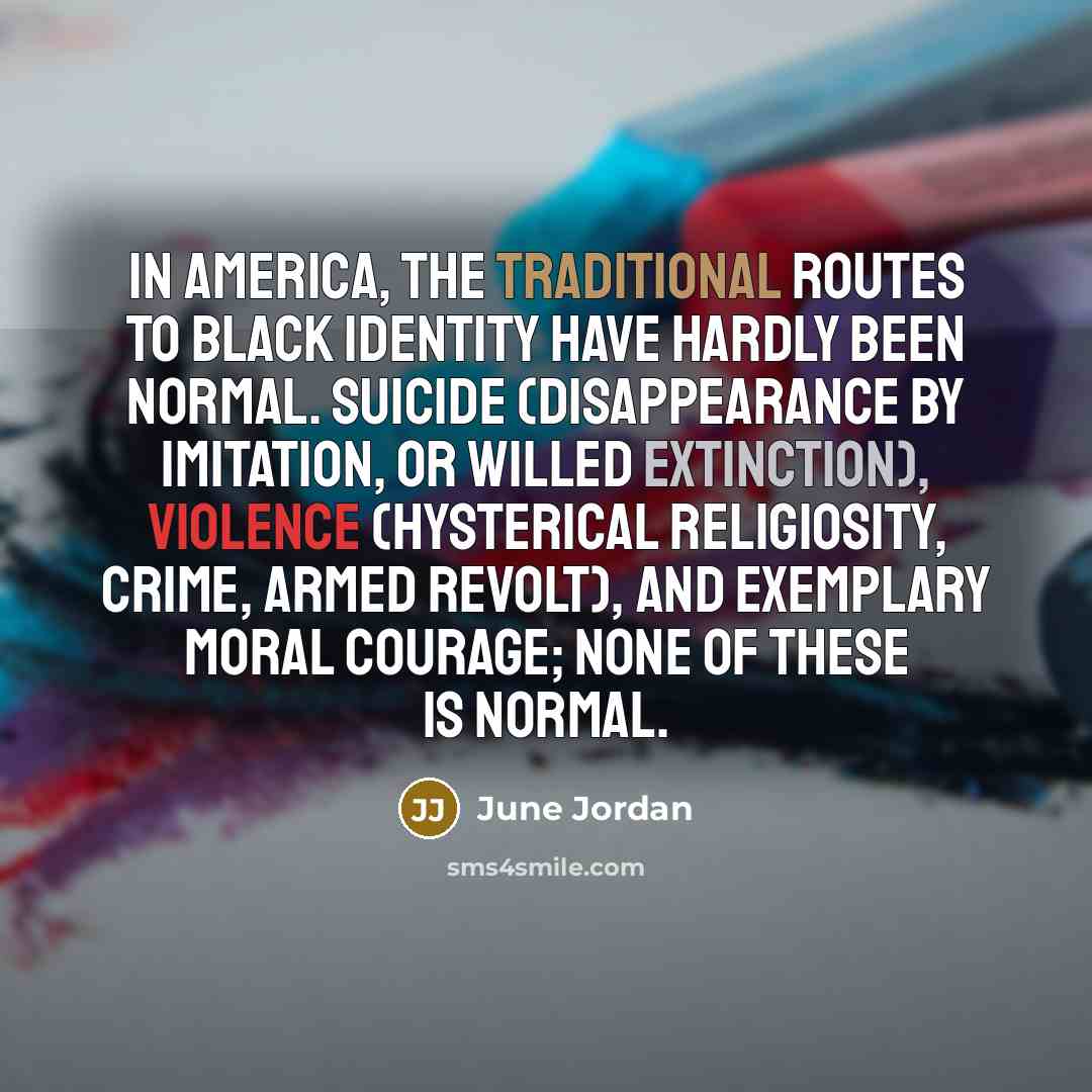 “In America, the traditional routes to black identity have hardly…” quote by June Jordan