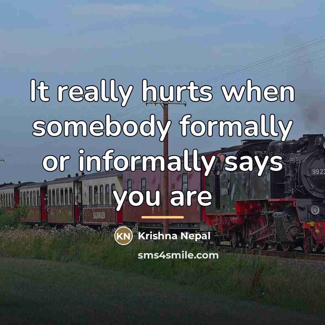“It really hurts when somebody formally or informally says you…” quote by Krishna Nepal
