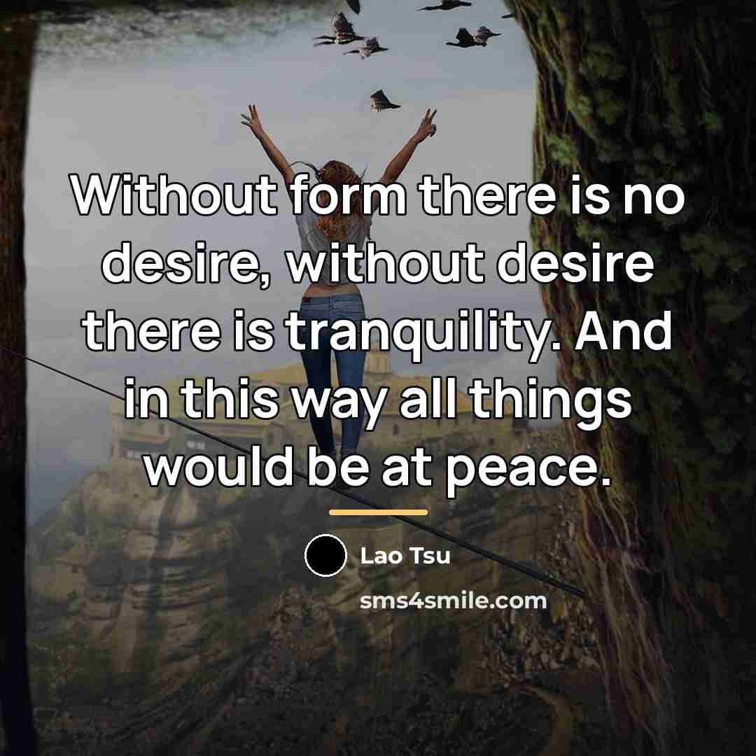 “Without form there is no desire, without desire there is…” quote by Lao Tsu