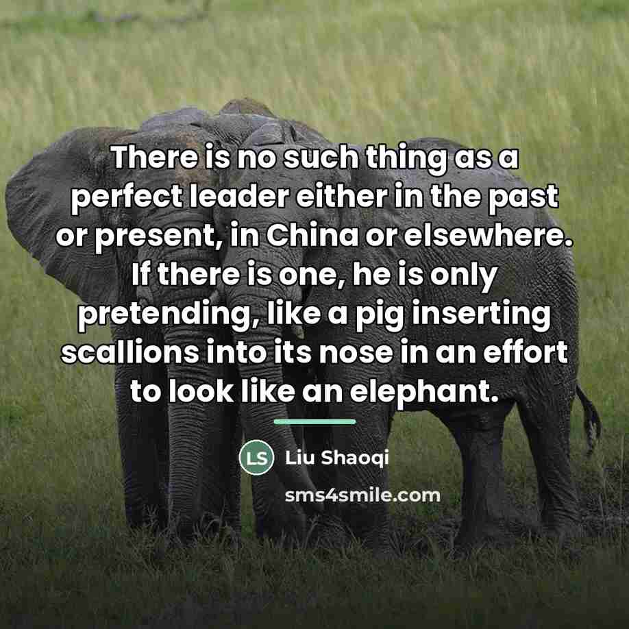 “There is no such thing as a perfect leader either…” quote by Liu Shaoqi