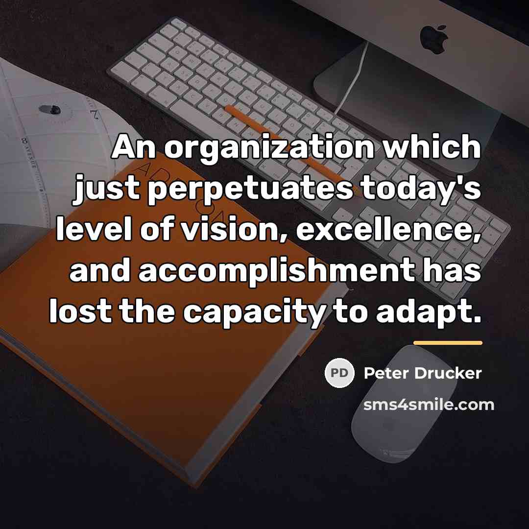 “An organization which just perpetuates today's level of vision, excellence,…” quote by Peter Drucker
