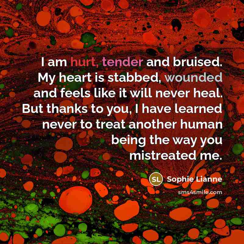 “I am hurt, tender and bruised. My heart is stabbed,…” quote by Sophie Lianne