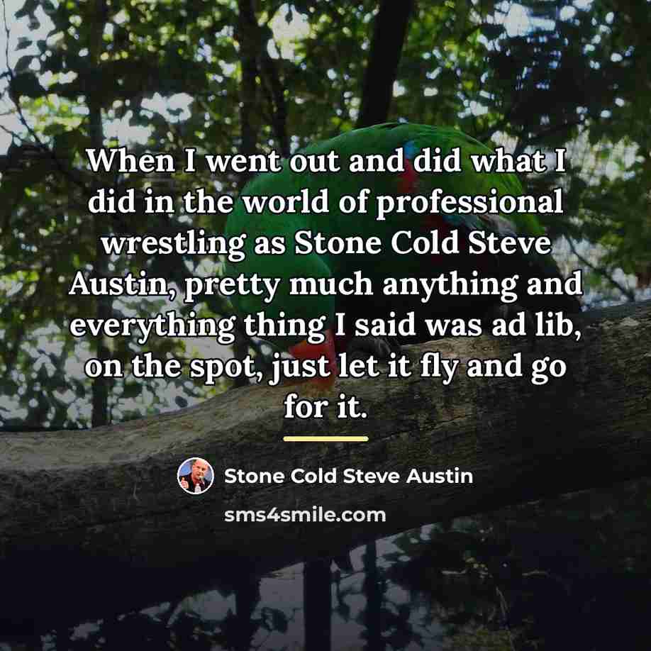 “When I went out and did what I did in…” quote by Stone Cold Steve Austin