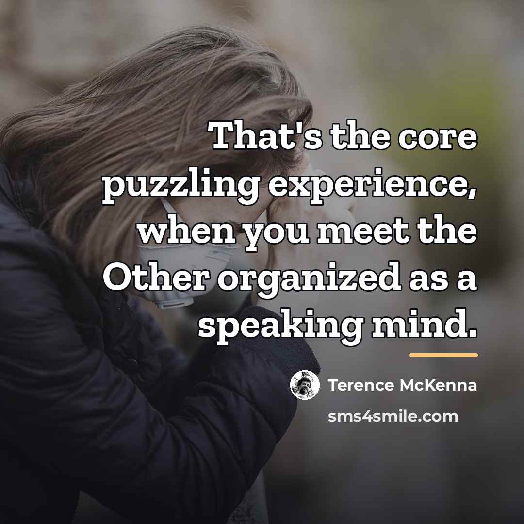 “That's the core puzzling experience, when you meet the Other…” quote by Terence McKenna
