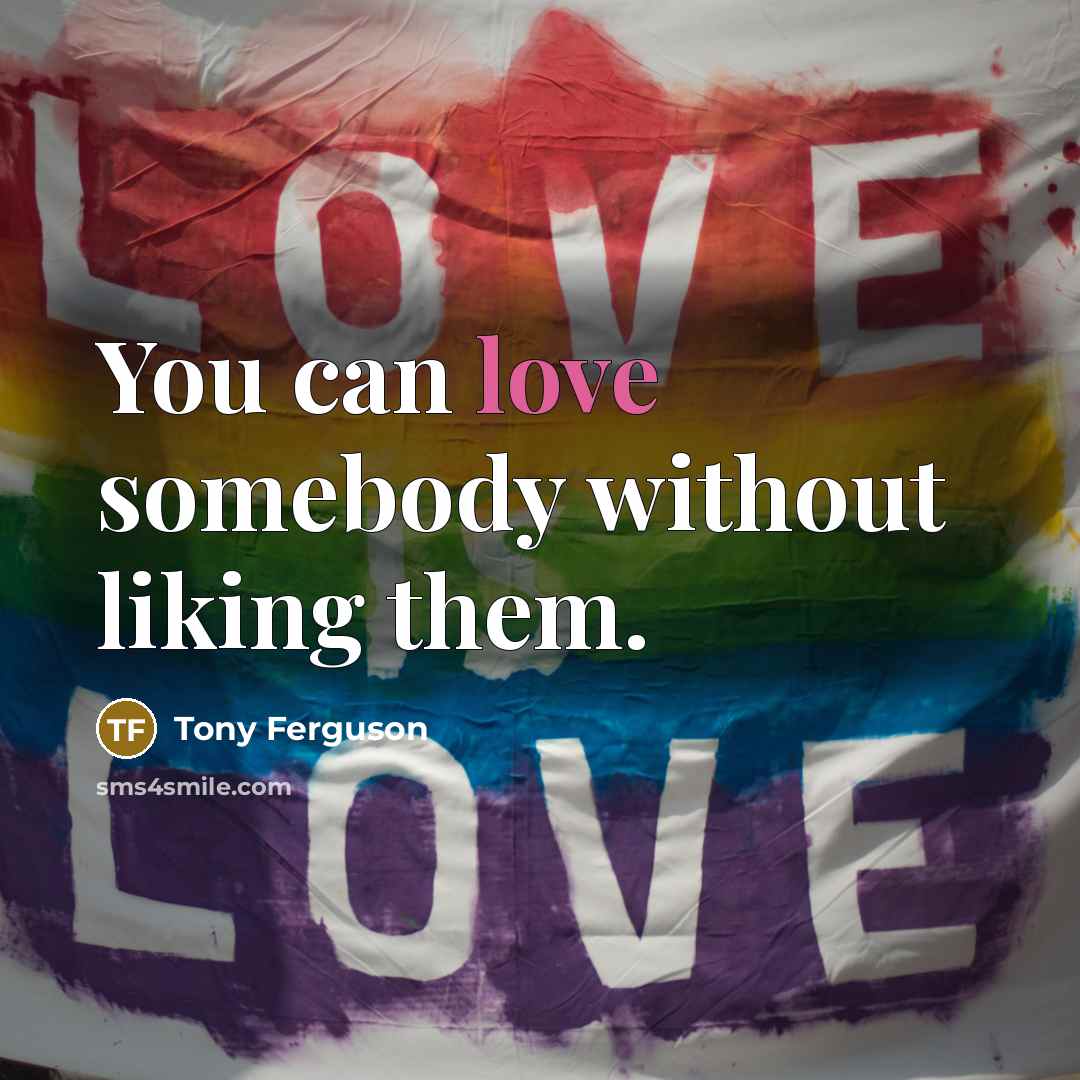 “You can love somebody without liking them.…” quote by Tony Ferguson