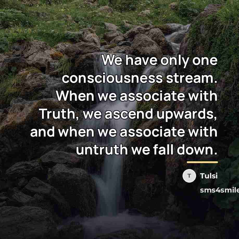 “We have only one consciousness stream. When we associate with…” quote by Tulsi