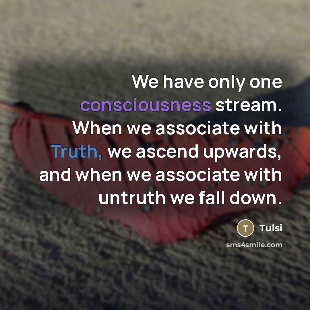 “We have only one consciousness stream. When we associate with Truth, we ascend upwards, and when we associate with untruth we fall down.” quote by Tulsi