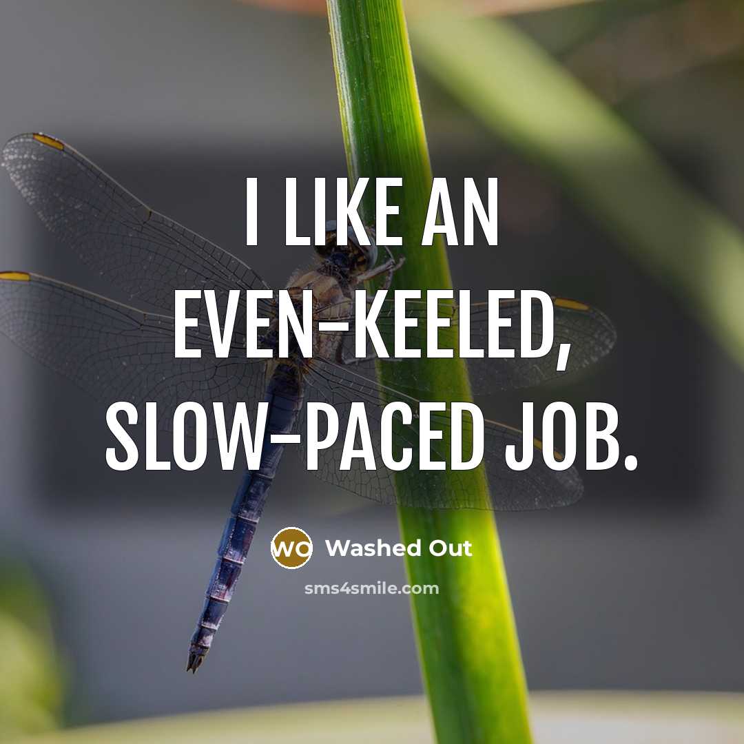 “I like an even-keeled, slow-paced job.…” quote by Washed Out
