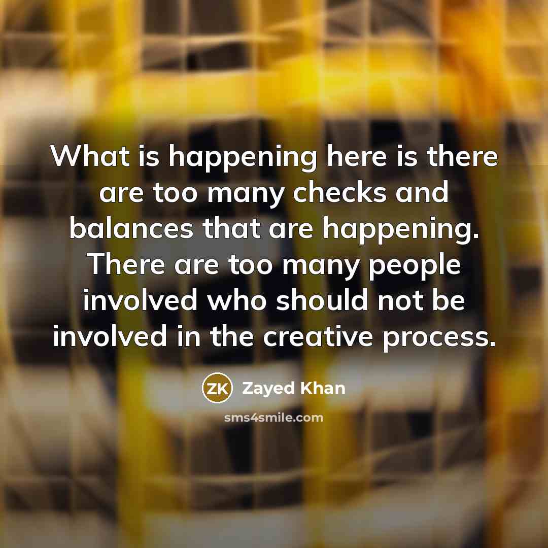 “What is happening here is there are too many checks…” quote by Zayed Khan