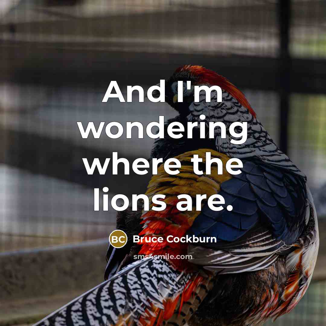 “And I'm wondering where the lions are.…” quote by Bruce Cockburn