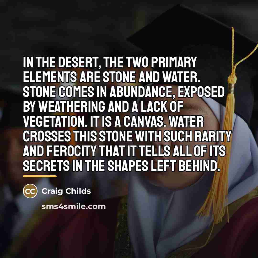 “In the desert, the two primary elements are stone and…” quote by Craig Childs