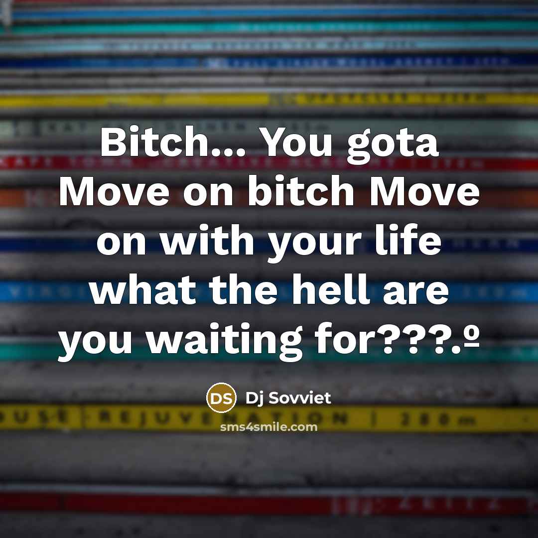 “Bitch... You gota Move on bitch Move on with your life what the hell are you waiting for???.º” quote by Dj Sovviet