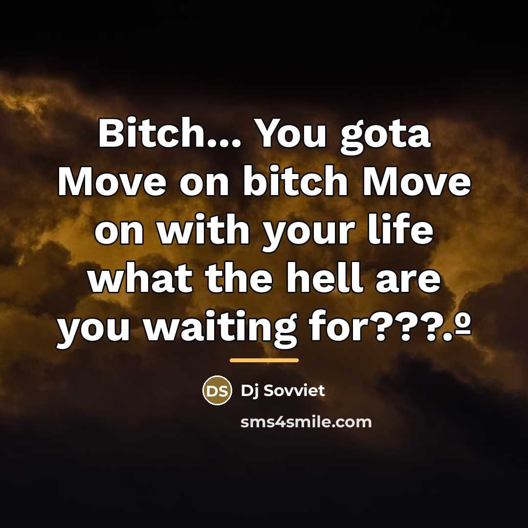 “Bitch... You gota Move on bitch Move on with your…” quote by Dj Sovviet