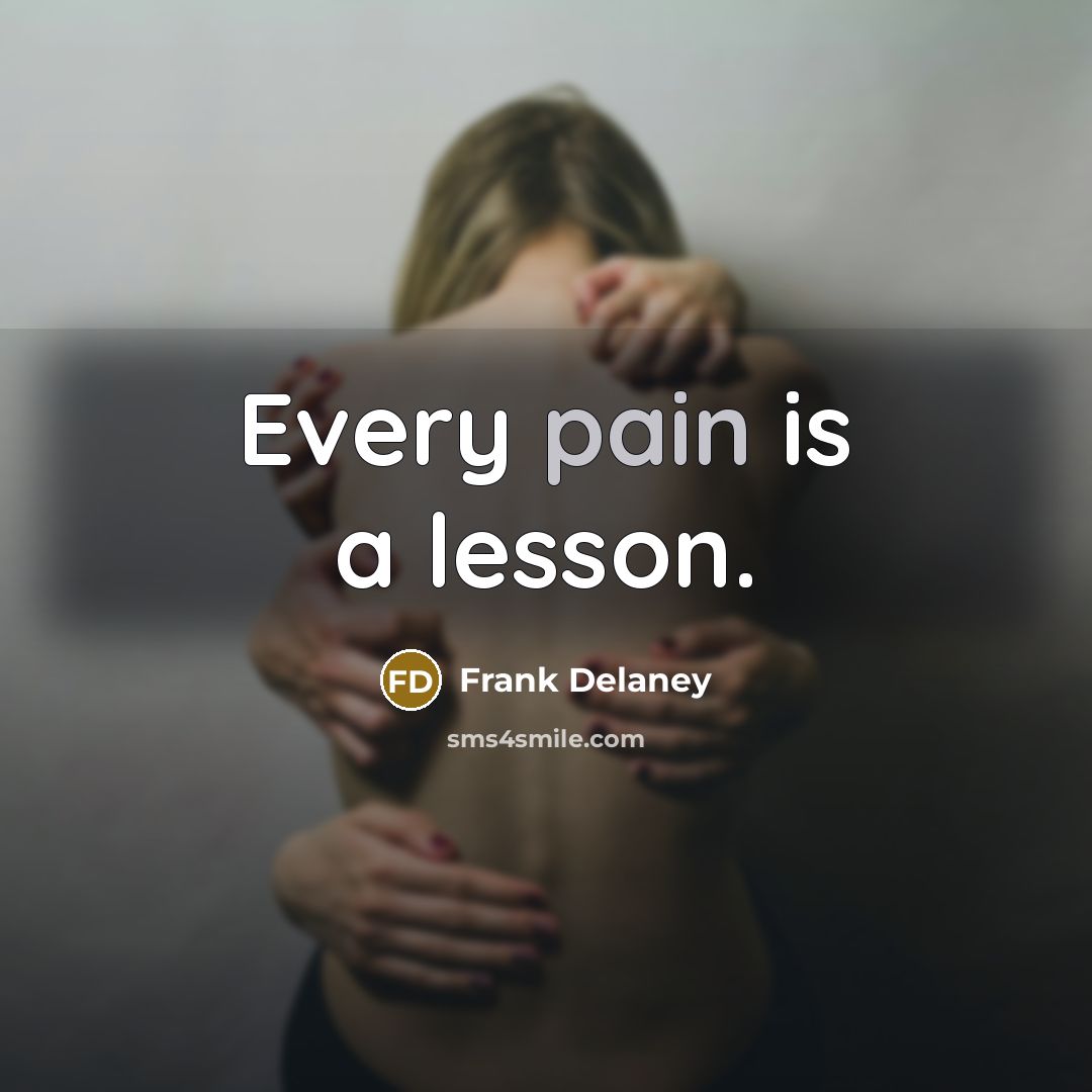 “Every pain is a lesson.…” quote by Frank Delaney