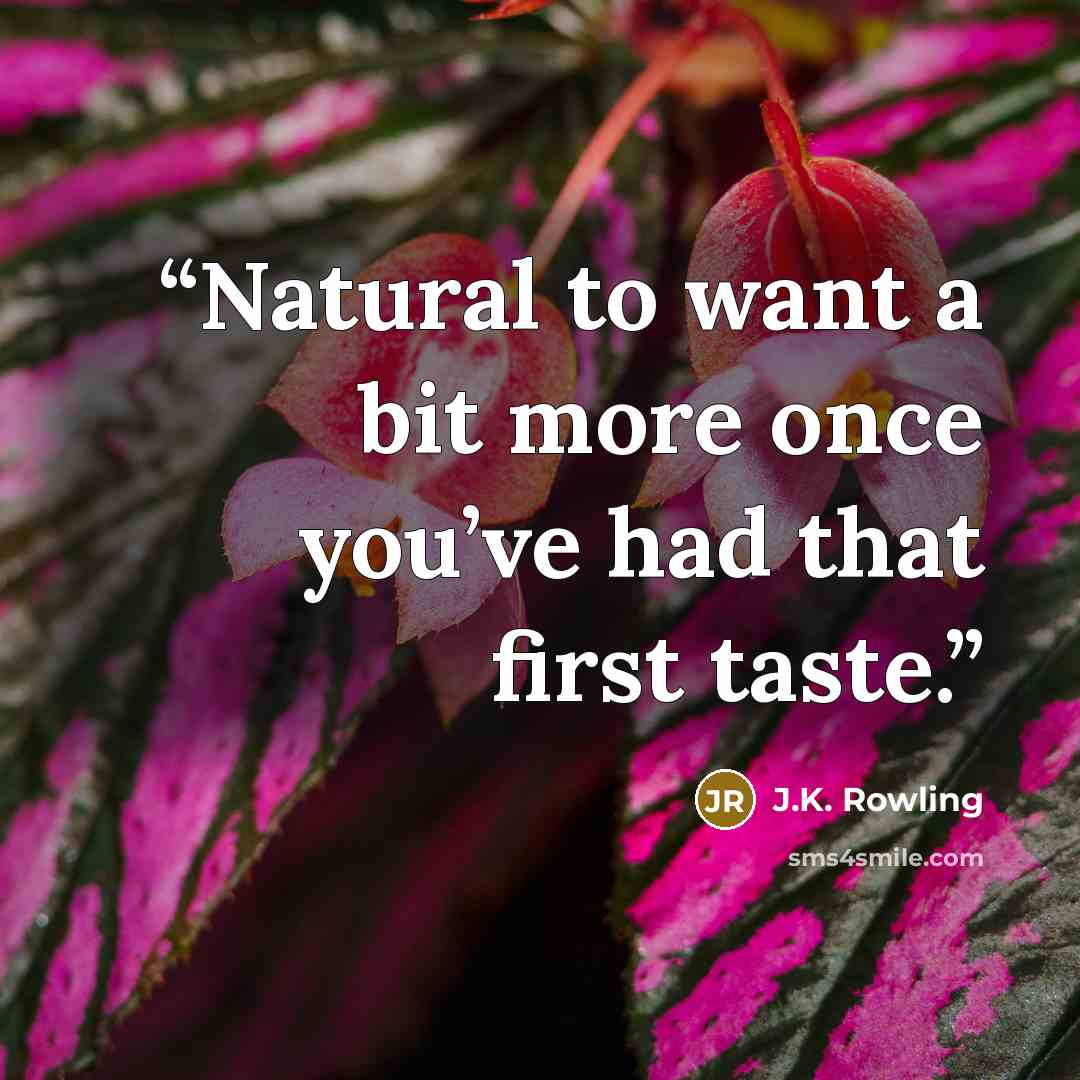 “Natural to want a bit more once you’ve had that first taste.” quote by J.K. Rowling