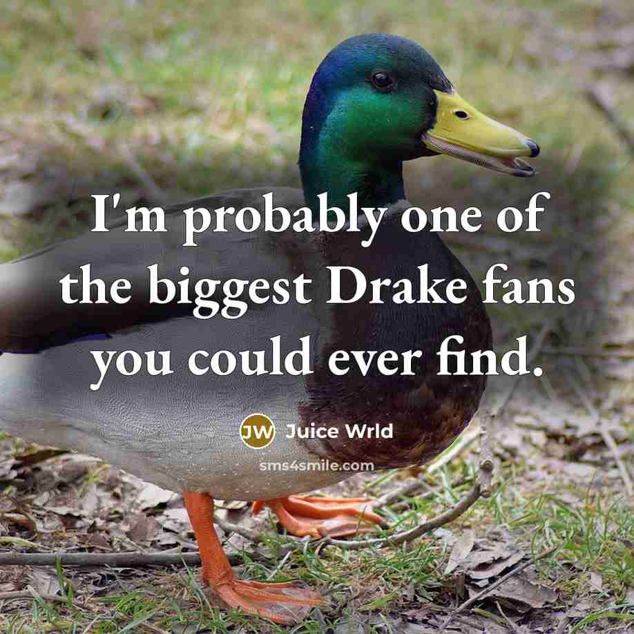 “I'm probably one of the biggest Drake fans you could…” quote by Juice Wrld