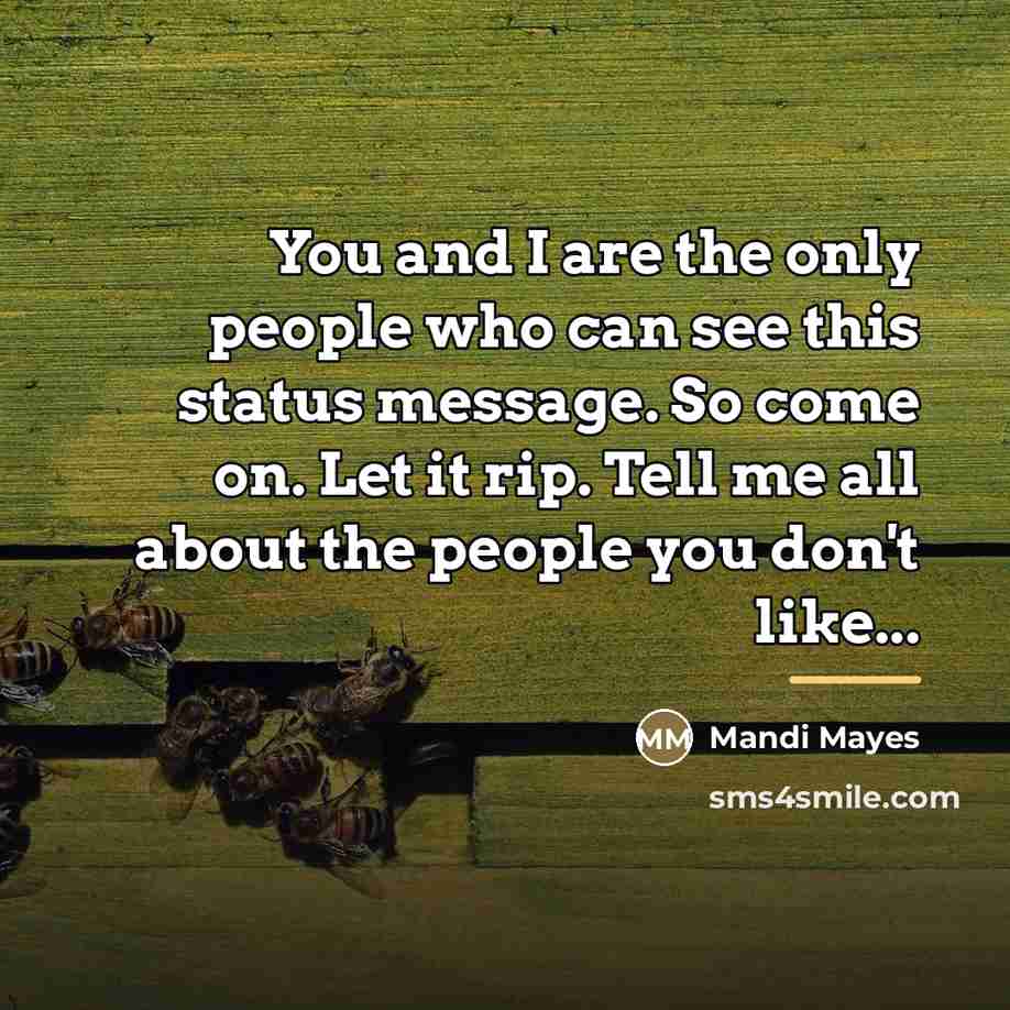 “You and I are the only people who can see…” quote by Mandi Mayes